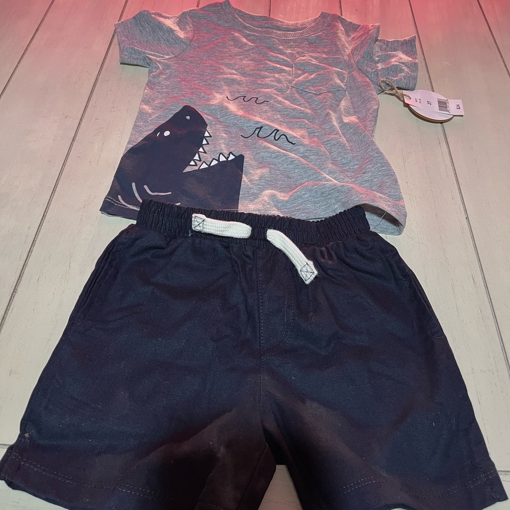 Gray and Black shark two piece NEW 2T